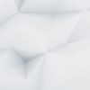 demo image 000001