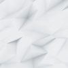 demo image 000002