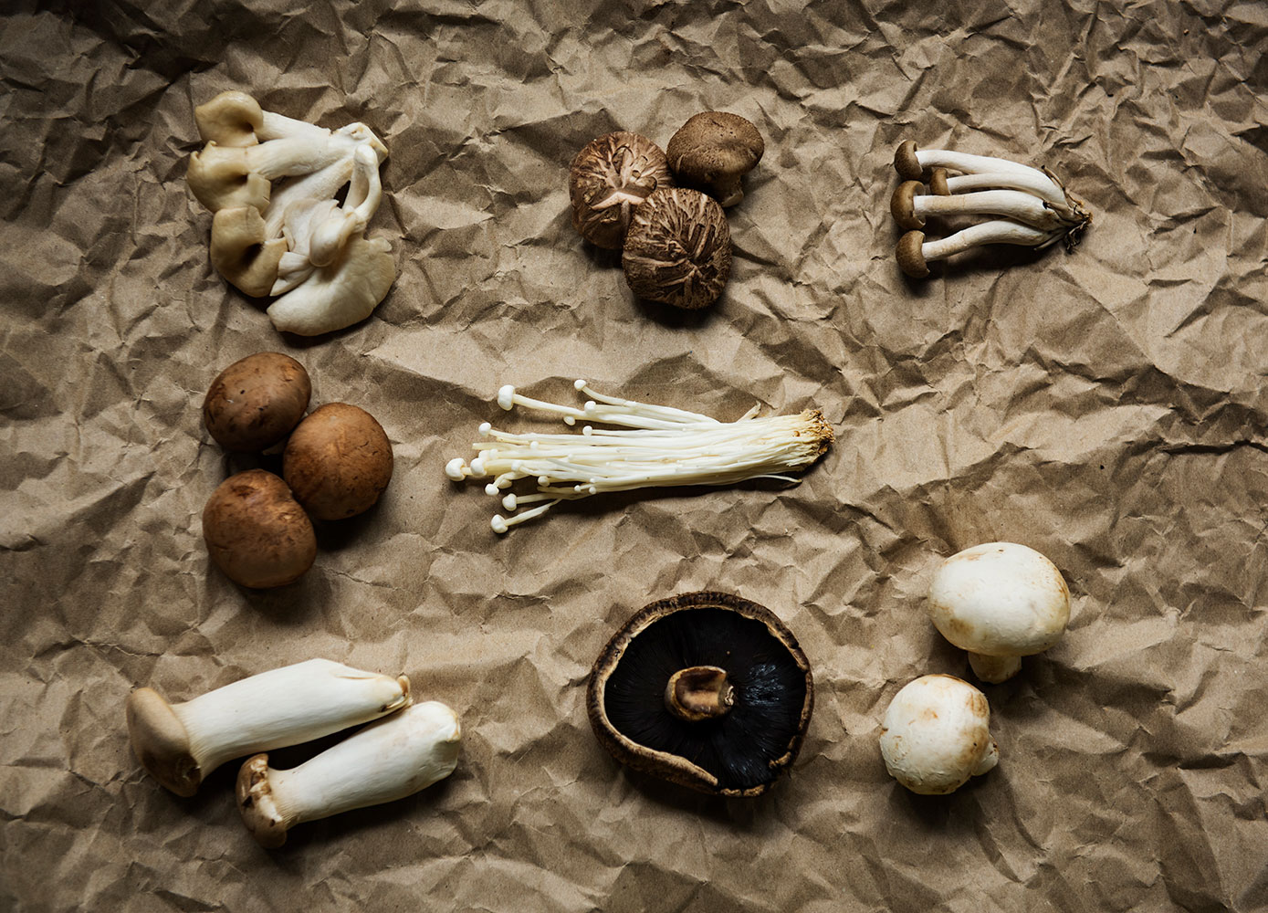 Vitality Stack 7 fresh organic mushrooms