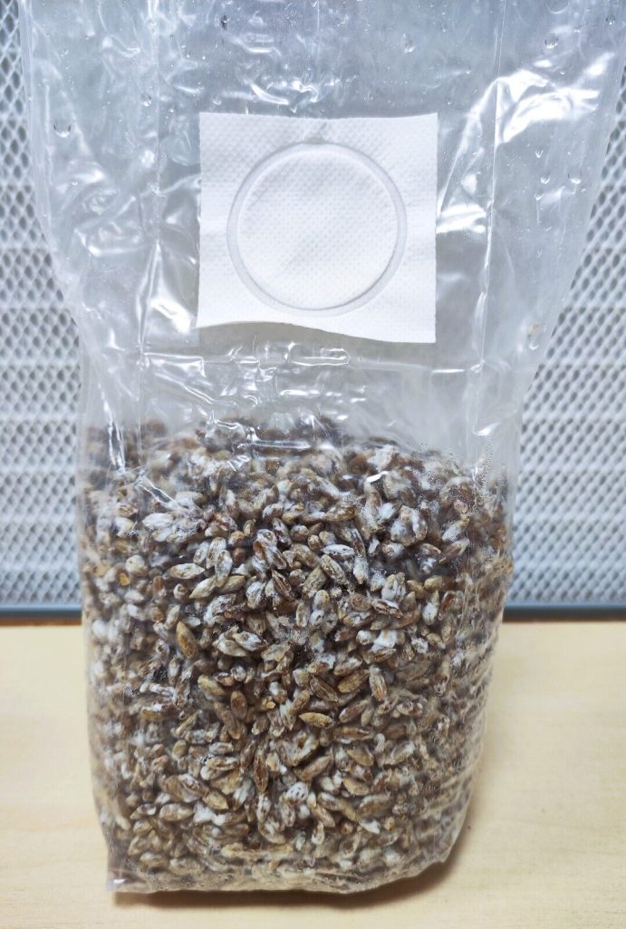 Cultivate &Amp; Thrive: Premium Mushrooms, Supplements &Amp; Supplies 24 Grain Spawn