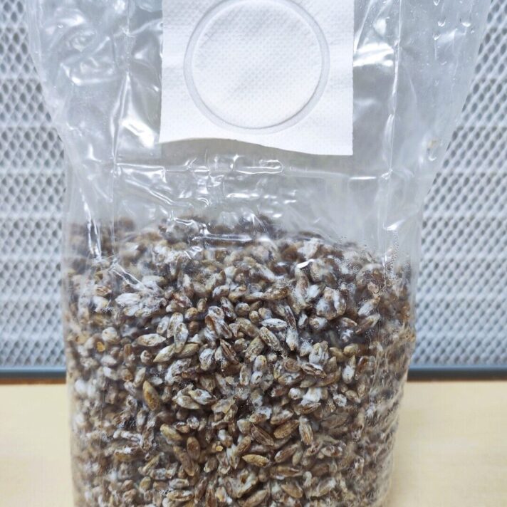 Grain Spawn