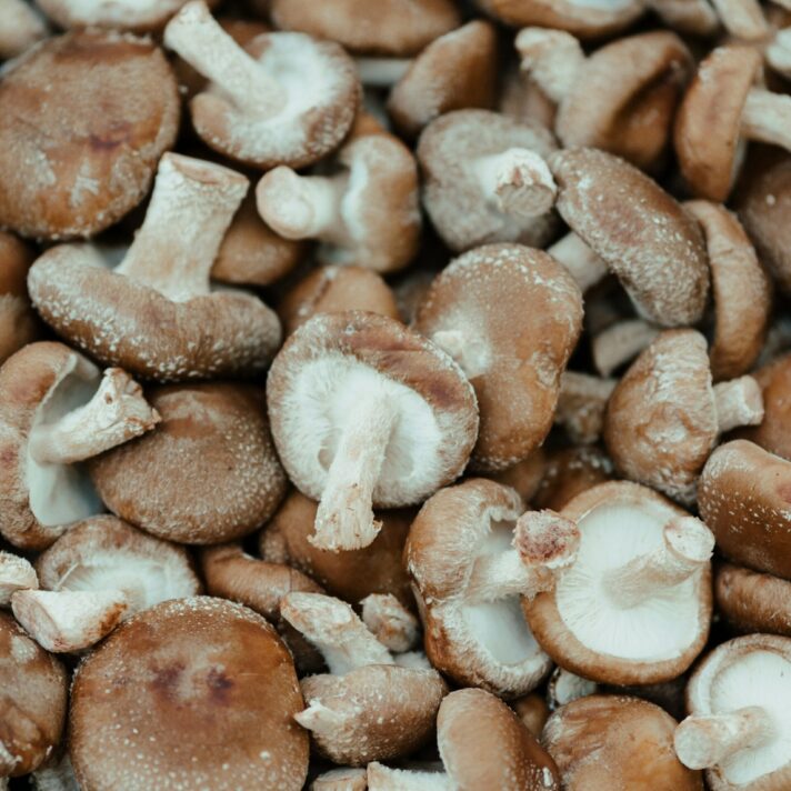 Organic Shiitake Mushroom Fresh Per kg